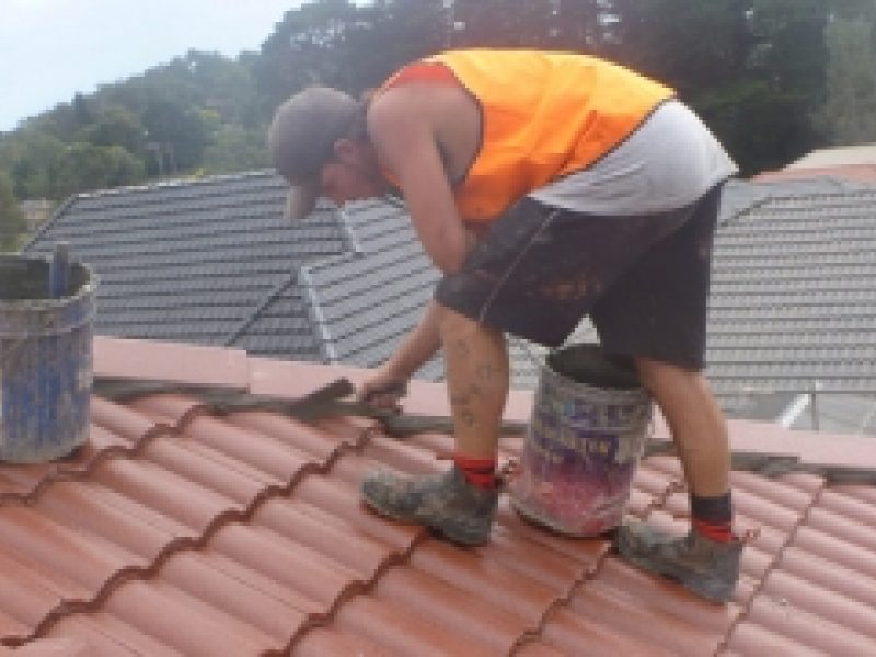 Concrete Roof Tiles Repair Roof repair specialists
